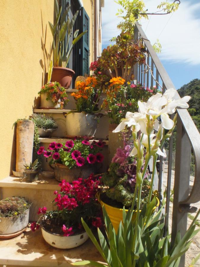 Apartamento La Casa Di Sveva Ragusa Exterior foto